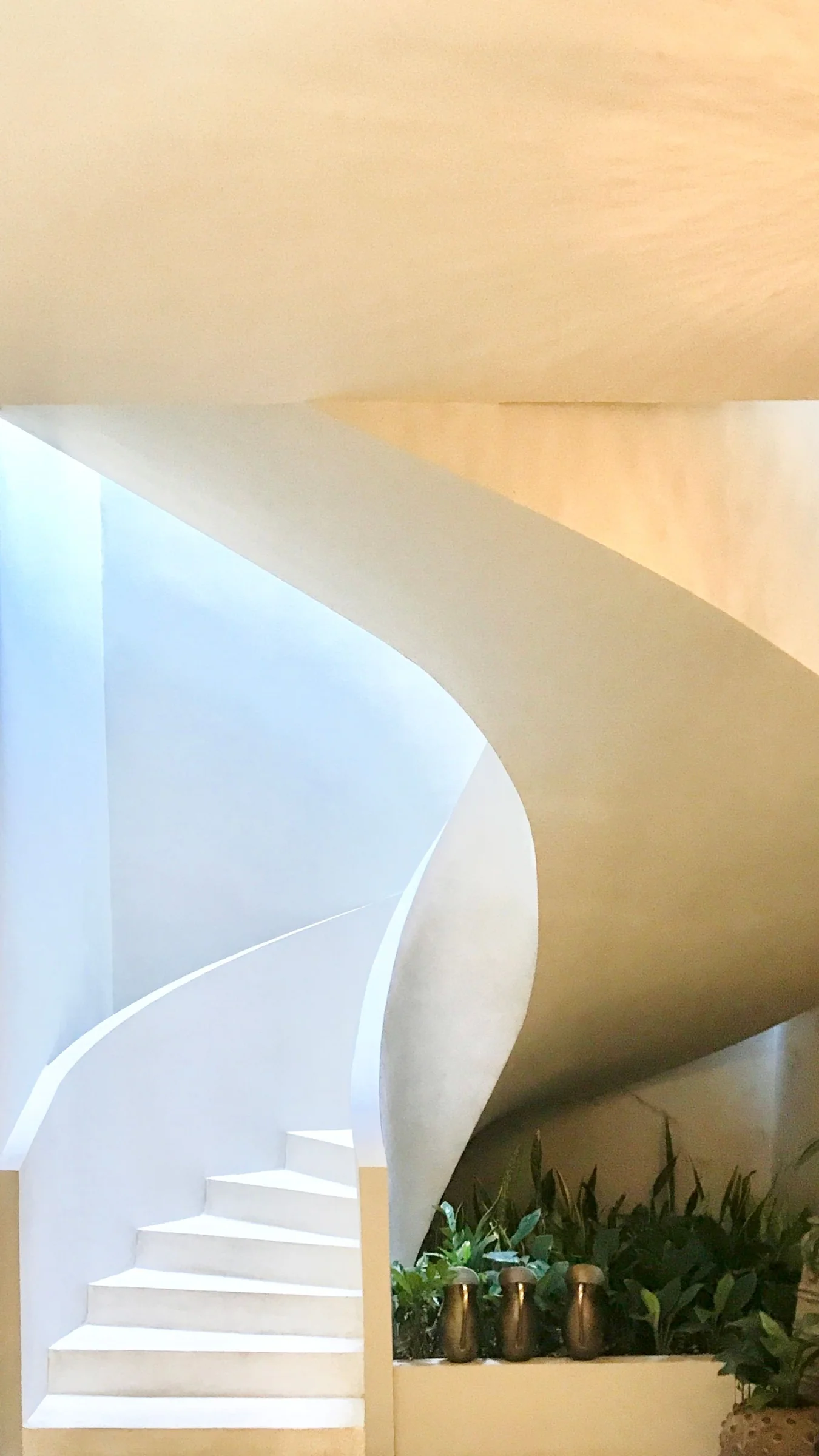 Mineral finish around a sculptural staircase