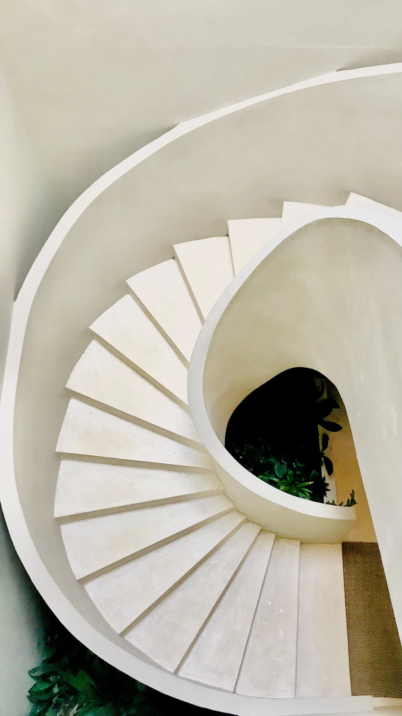 Warm walls wrapping a spiral stair
